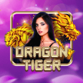 Dragon Tiger gameplus live casino